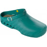 CLOG EVO (M) TPR EMERALD