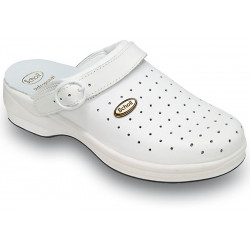 NEW BONUS (M) PUNCHED...